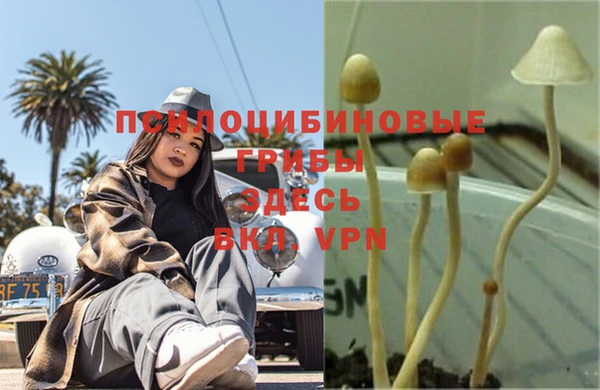 дурь Баксан