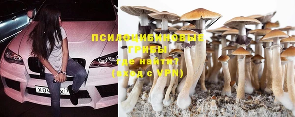 сатива Балахна