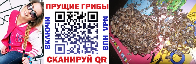 Псилоцибиновые грибы ЛСД  Бор 